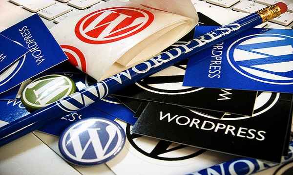 WordPress Differences: Beginners Guide