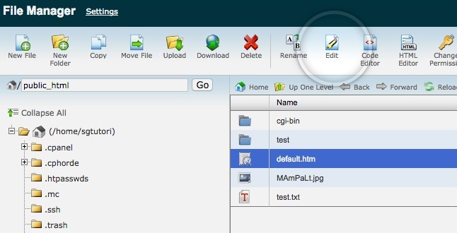 File Management of cPanel 