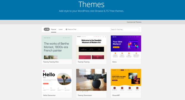 Install a WordPress Theme