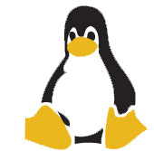 Linux Shared Hosting Servers
